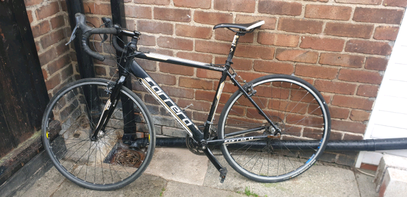 carrera tanneri